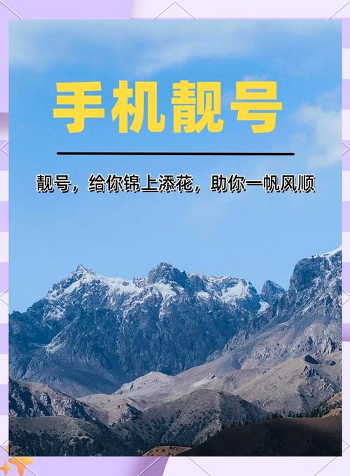 车牌号数字游戏:网络平台的靓号风云
