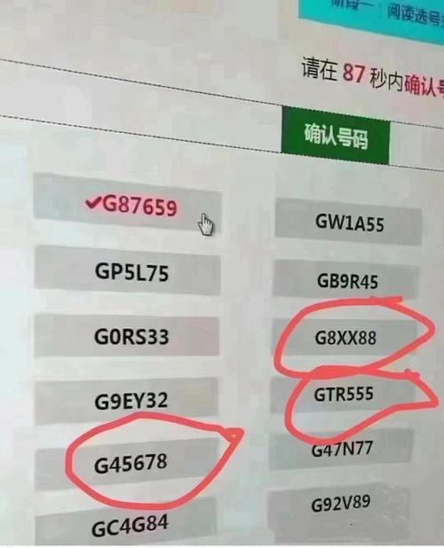 广州车牌摇号,靓号频出,车友热议!