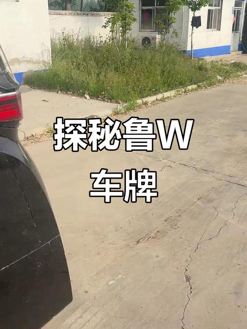 车牌209102爆火网络,背后故事引人关注!