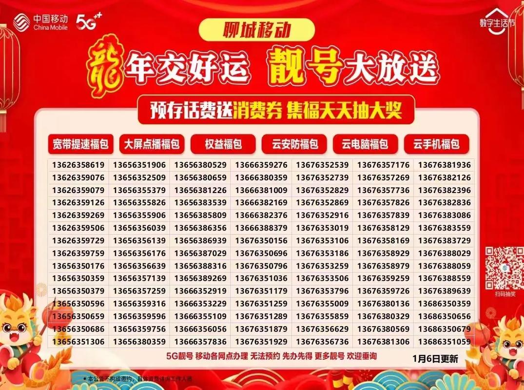 探寻沧州车牌魅力:靓号盛宴等你来抢