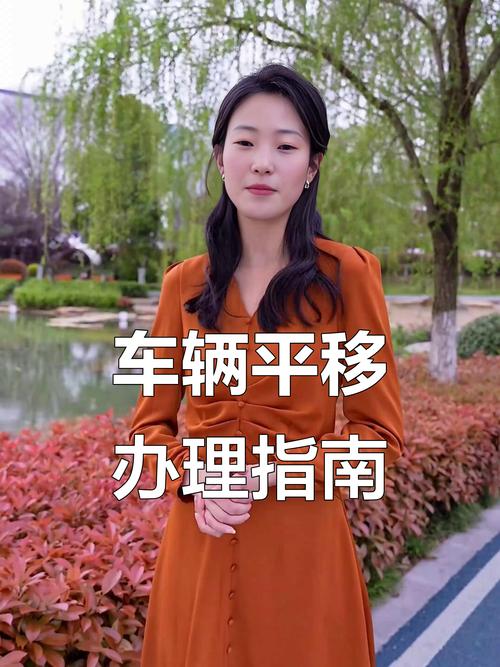 夫妻车牌平移奇遇:爱情路上新花样