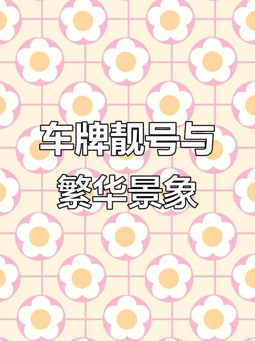 温州车牌中的珍宝:探寻那些靓号背后的故事