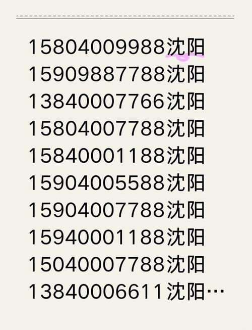 沈阳车牌靓号热求中,一号难求