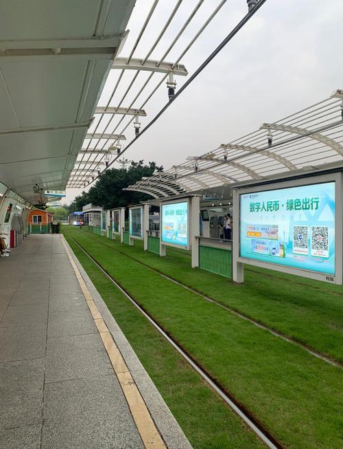 粤A车牌靓号电动车:绿色出行新潮流,车牌号竟成焦点!