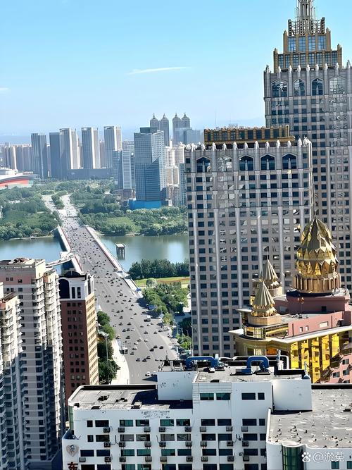 沈阳金马奔腾号,带你领略城市繁华与速度激情!