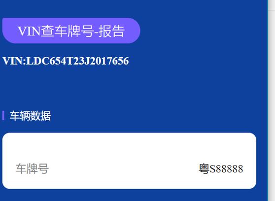 车牌非车主专属?车牌持有者身份之谜