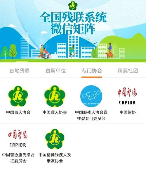 全国残疾人专用车牌正式启用,助力残疾人出行无障碍