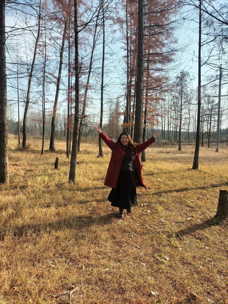 鹤壁车牌靓号转让,遇见你的专属幸运符