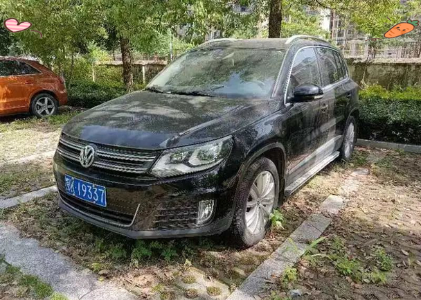 天门车牌靓号:谁能揭开神秘面纱?