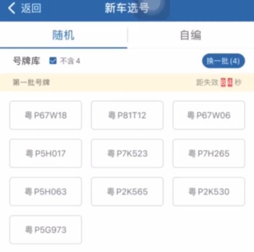 娄底车牌靓号抢购热潮:车牌号码成新奢侈品”