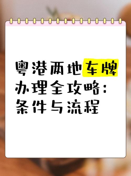 深圳湾口岸车牌申请攻略:轻松解锁跨境出行新选择