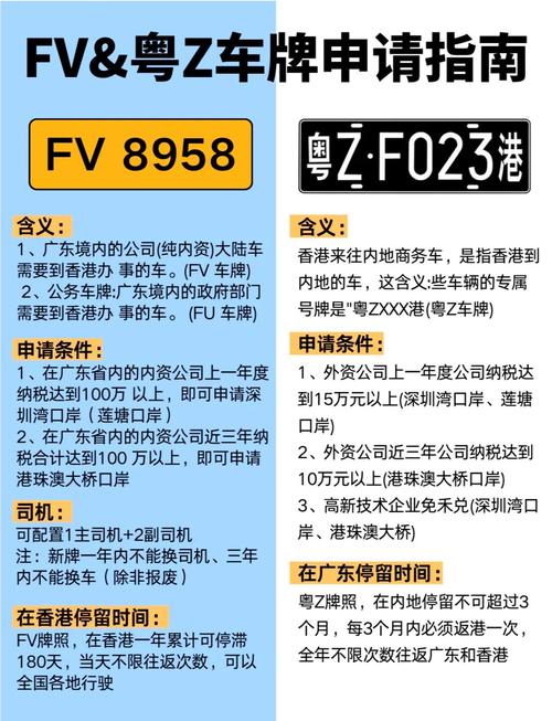 粤港两地车牌办理攻略:详解申请条件及流程