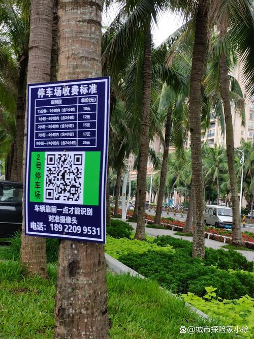 湛江靓号车牌投放:城市新地标,车牌新潮流