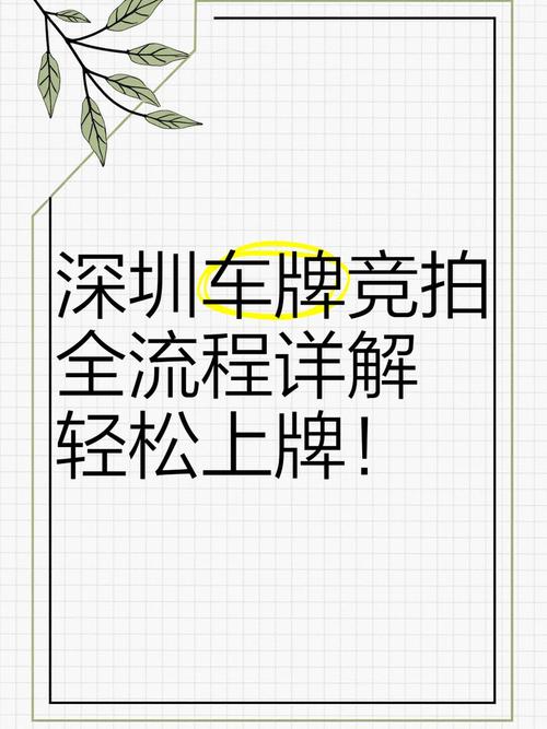 深圳车牌最新政策:如何应对车牌摇号和竞拍新规定?
