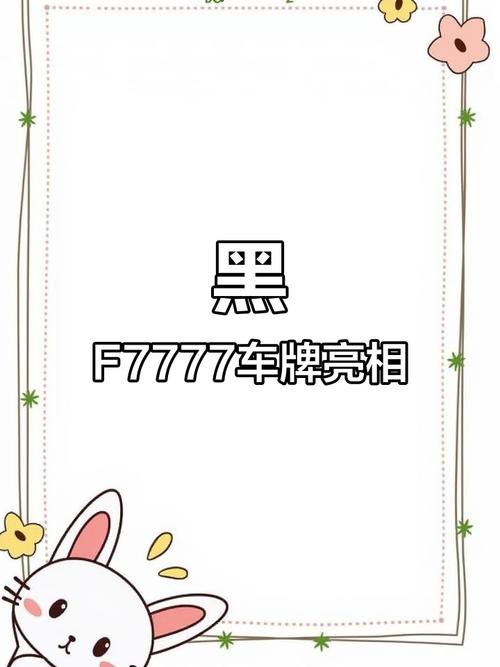 哈尔滨车牌靓号,遇见你的专属幸运符