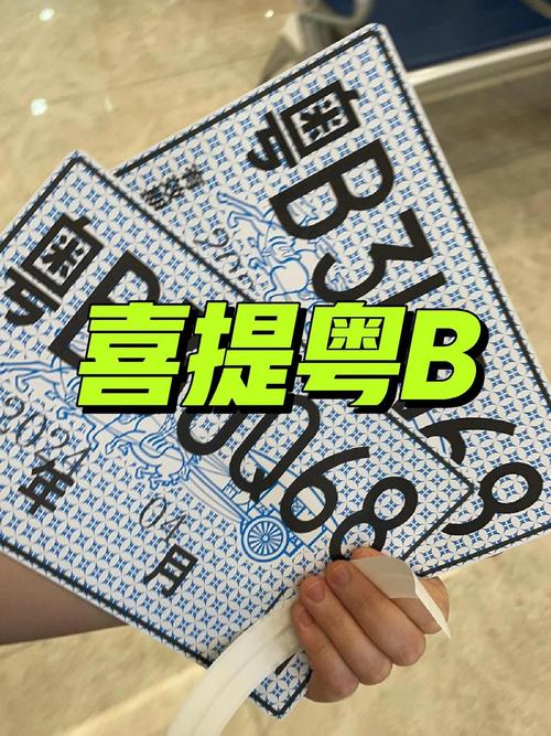 深圳车牌靓号下放:市民喜提车牌新机遇