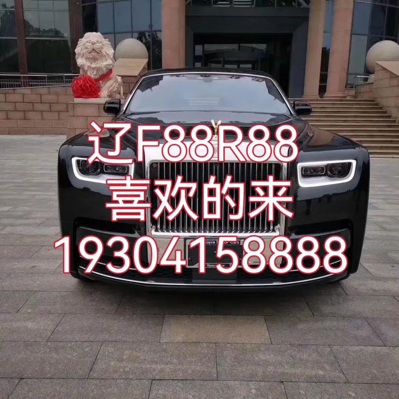 大庆车牌中的明星:那些闪耀的靓号故事