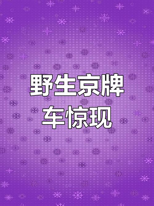 京城车牌遇靓号网,车牌收藏热潮涌动