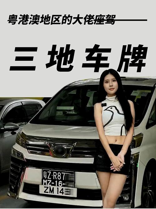 明星座驾:车牌号马赛克下的神秘车界风云