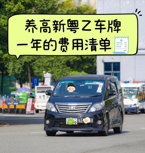 车牌换新费用大:价格一窥究竟!
