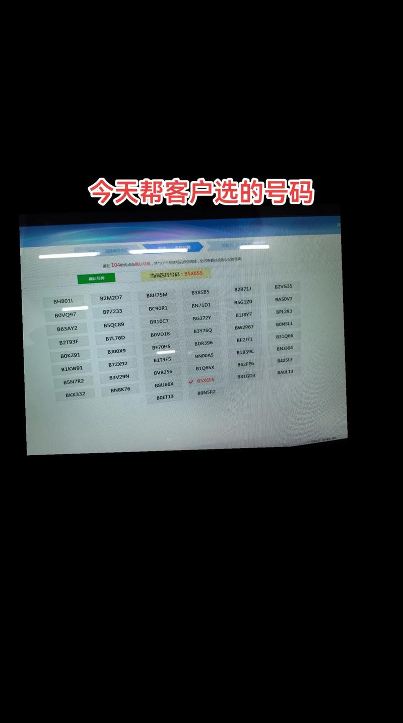 洛阳车牌选号大:热门号码背后的抢号大战!