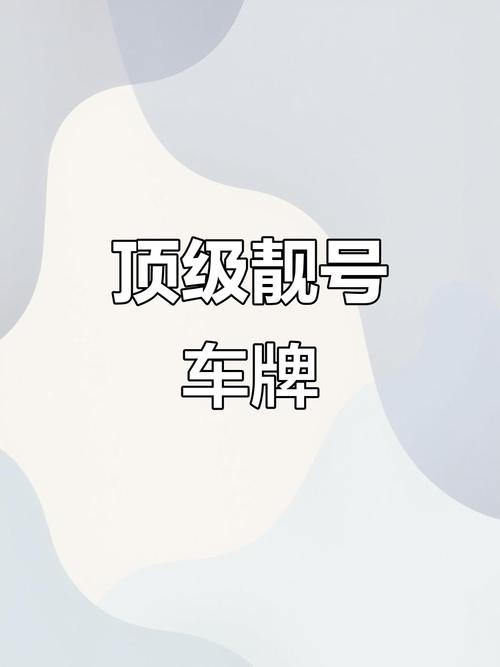 惠州网上自选车牌,个性化车牌轻松到手!