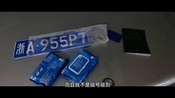 杭州车牌号摇号查询:实时掌握车牌摇号动态