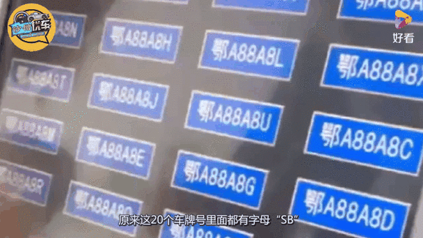 杭州车牌号摇号查询:实时掌握车牌摇号动态