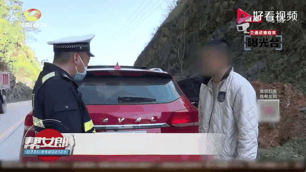 新车车牌物流查询攻略:轻松追踪车牌动态