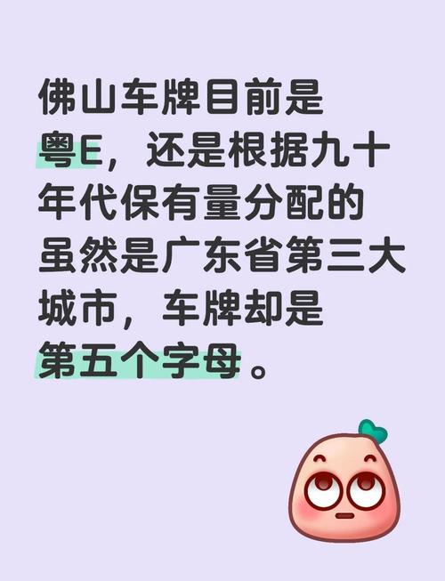 粤韵飞扬:广东车牌背后的经济活力与地域特色