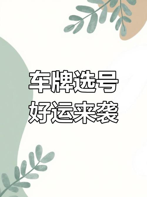 冀D车牌靓号价格飙升,抢手程度堪比黄金!