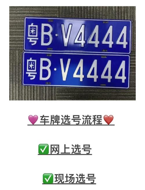 轻松拥有个性车牌,网上自选车牌号全攻略