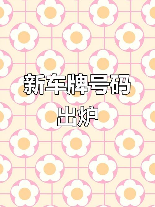 揭阳靓号车牌新放,车牌号码抢购热潮即将来袭