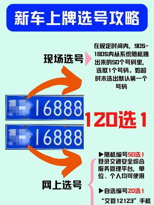 车管所轻松选车牌,一站式服务助您轻松上路