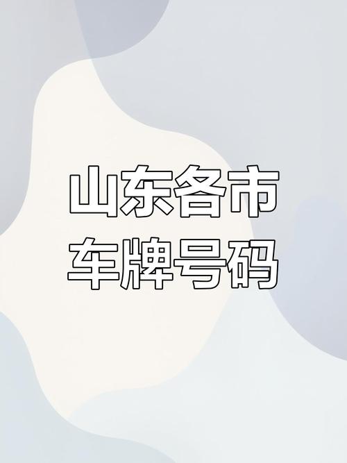 山东牛逼车牌号惊现街头,引网友热议!