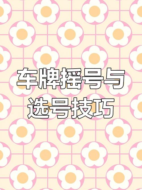 摇号车牌中的幸运传奇:靓号背后的故事
