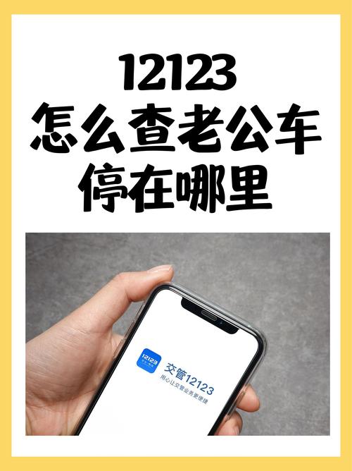 代办补车牌价格大!省心又省钱的秘密在这里!