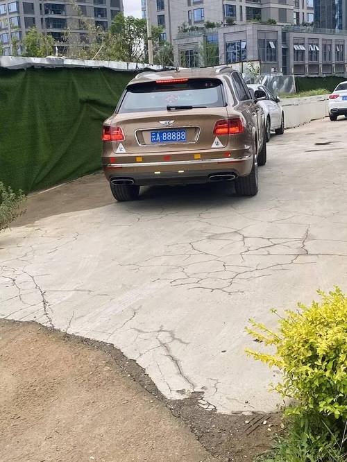 偶遇车牌靓号,网友直呼:这是要发大财的节奏!”