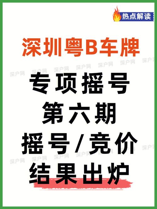 深圳车牌竞价付款攻略:轻松掌握支付流程