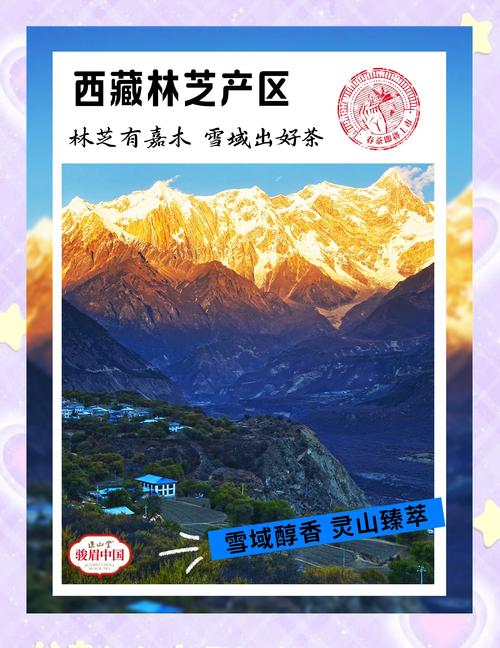 林芝市车牌靓号助力,藏地风情自驾之旅火热开启!”