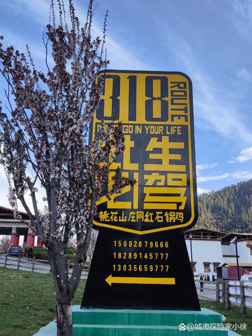林芝市车牌靓号助力,藏地风情自驾之旅火热开启!”