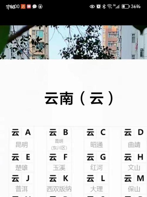 云南车牌靓号88888,藏匿着怎样的幸运传说?