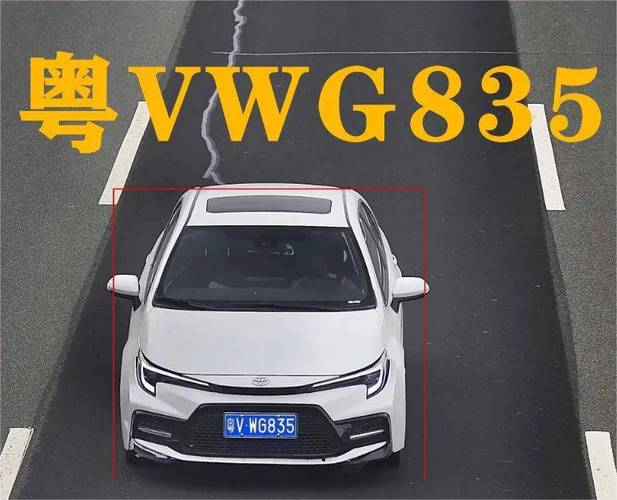 粤xfm080车牌引发网友热议:车牌背后的神秘故事揭晓!