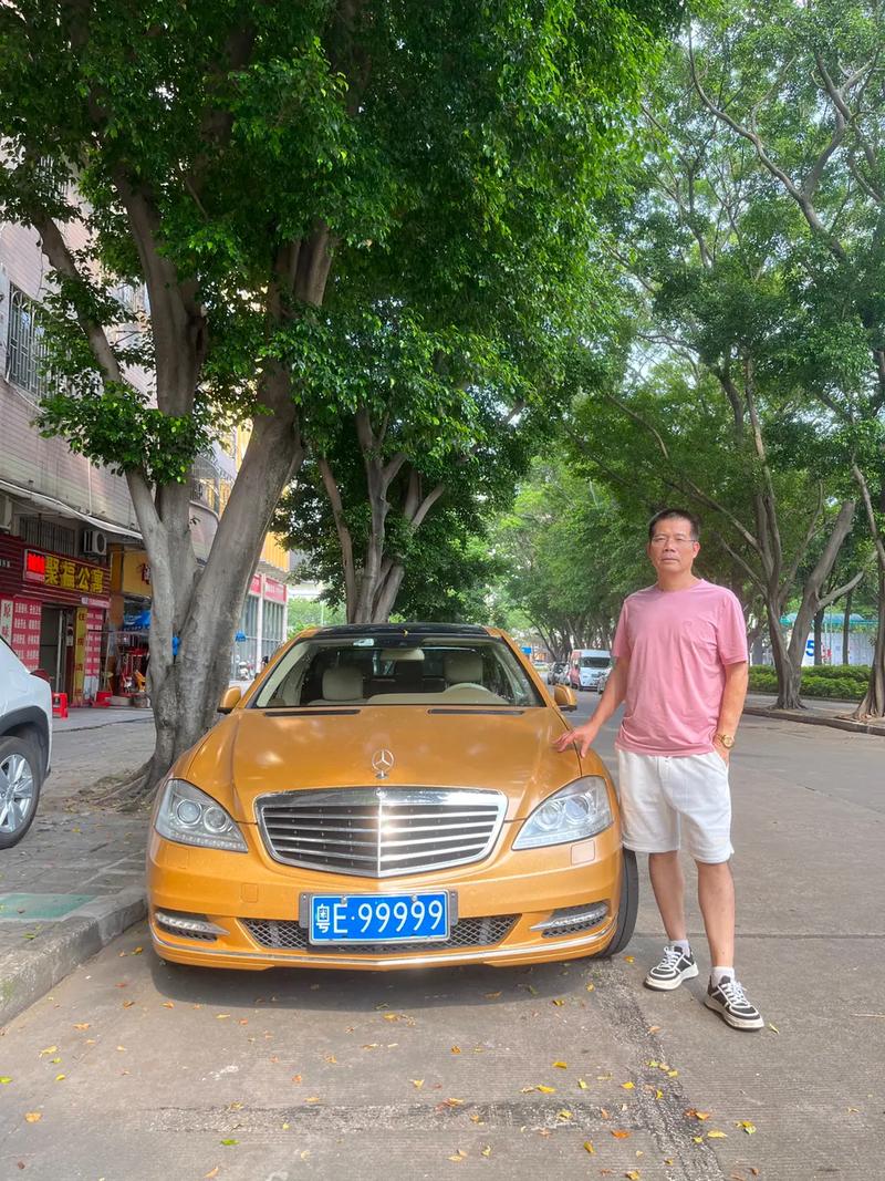 山东混动车牌靓号:车牌如画,绿色出行新风尚