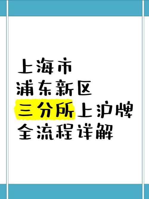 上海车牌标书续办攻略:轻松掌握续牌流程