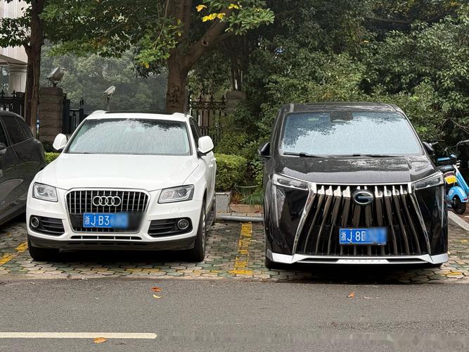 台州车牌靓号街头风采瞬间捕捉