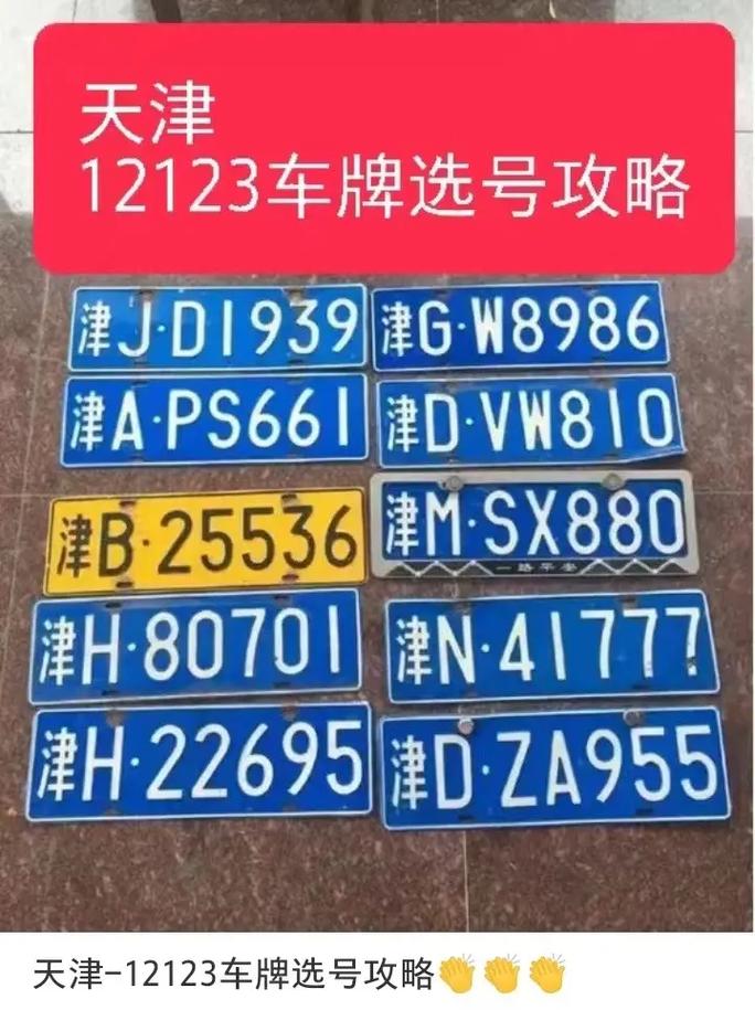 12123车牌靓号:数字之美,车牌之韵