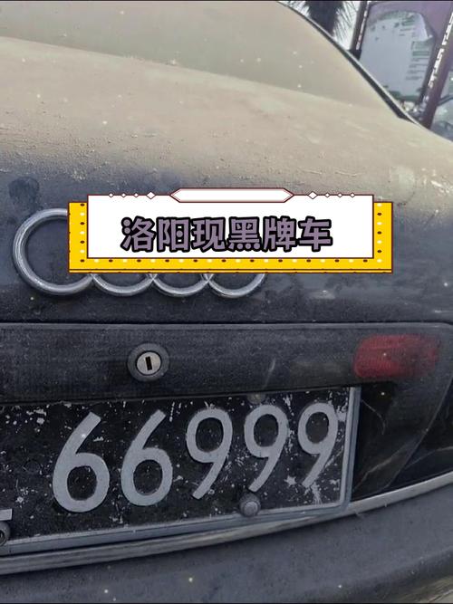 洛阳车牌新宠:靓号车牌,彰显尊贵身份