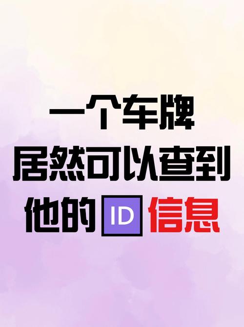 车牌号117:探寻神秘车牌背后的故事
