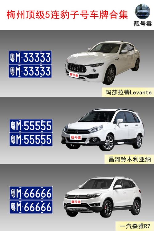 梅州车牌靓号新规来袭,车牌号码竞拍新玩法,你准备好了吗?